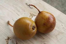 Armut Turşusu Tarifi ve Malzemeleri